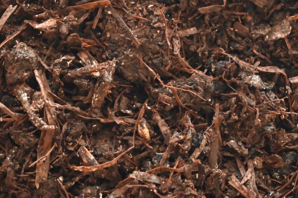 Why Spent Mushroom Compost?